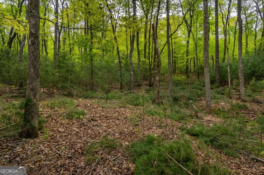 LOT 3-4 Scouts Overlook LN Morganton, GA 30560