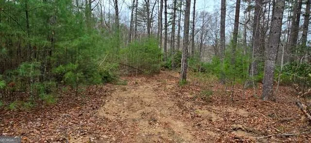 LOT 3-4 Scouts Overlook LN Morganton, GA 30560