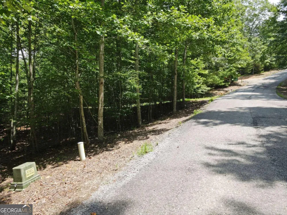 LOT 3-4 Scouts Overlook LN Morganton, GA 30560