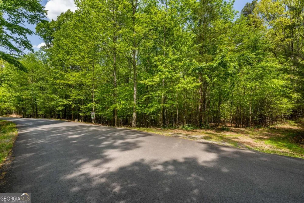 LOT 3-4 Scouts Overlook LN Morganton, GA 30560