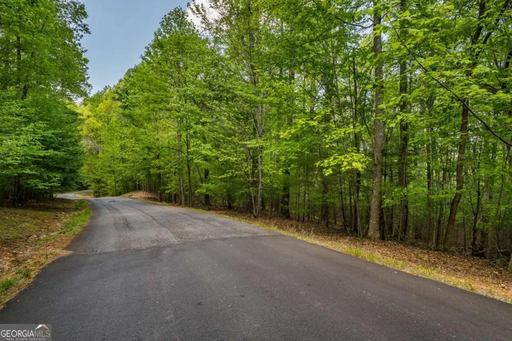 LOT 3-4 Scouts Overlook LN Morganton, GA 30560