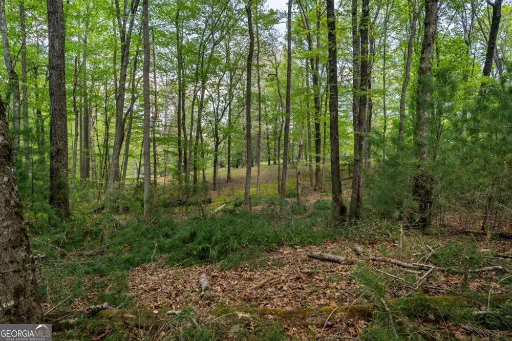 LOT 3-4 Scouts Overlook LN Morganton, GA 30560