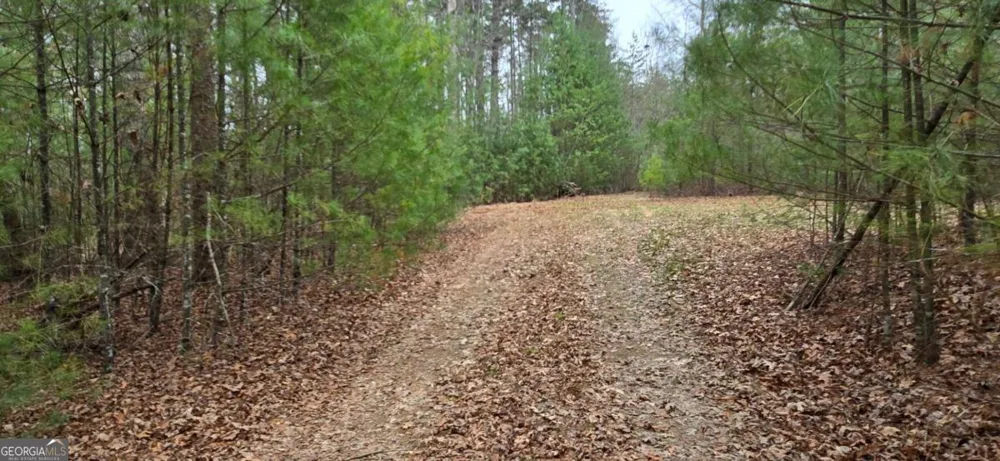 LOT 3-4 Scouts Overlook LN Morganton, GA 30560