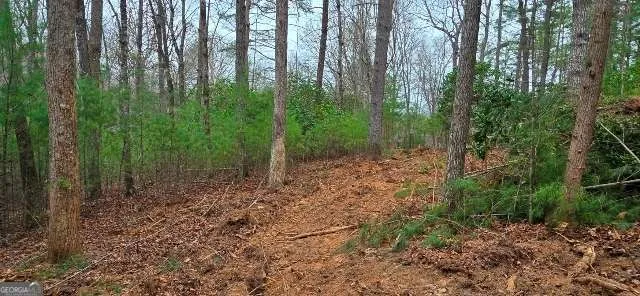 LOT 3-4 Scouts Overlook LN Morganton, GA 30560