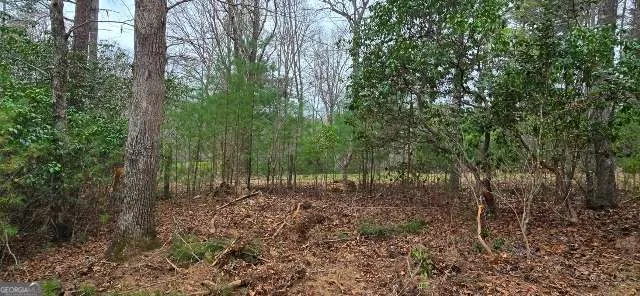 LOT 3-4 Scouts Overlook LN Morganton, GA 30560