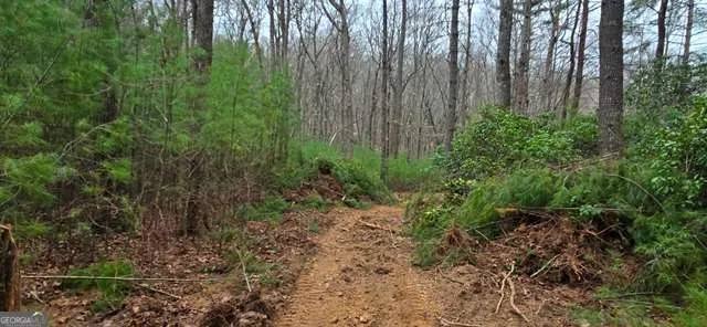 LOT 3-4 Scouts Overlook LN Morganton, GA 30560