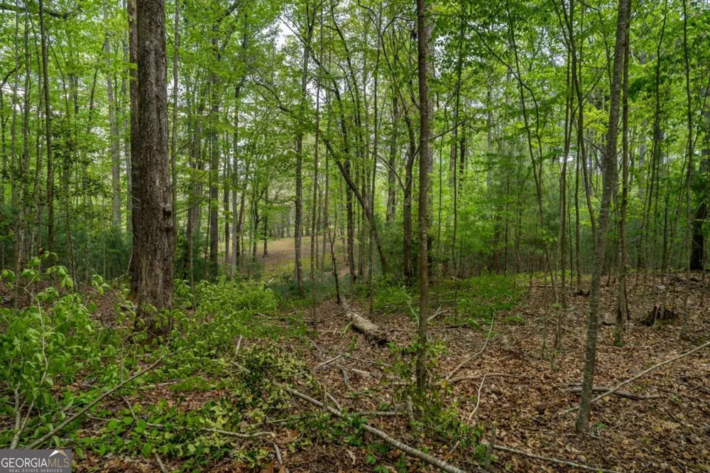 LOT 3-4 Scouts Overlook LN Morganton, GA 30560