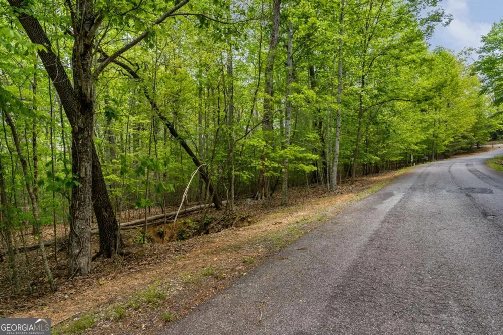 LOT 3-4 Scouts Overlook LN Morganton, GA 30560