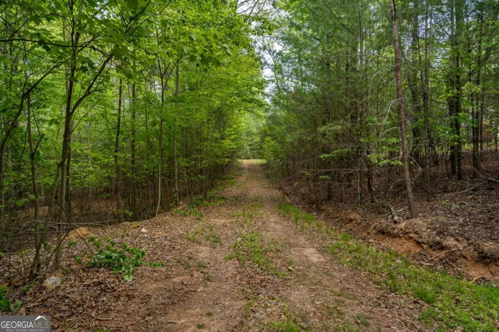 LOT 3-4 Scouts Overlook LN Morganton, GA 30560
