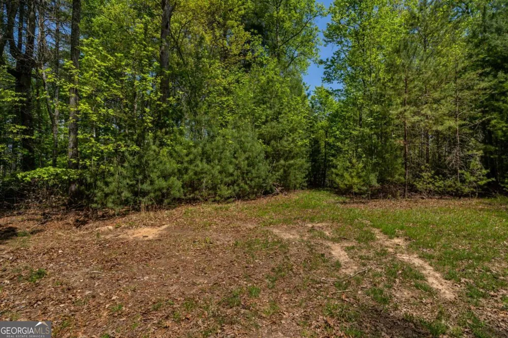 LOT 3-4 Scouts Overlook LN Morganton, GA 30560