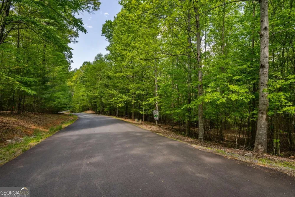 LOT 3-4 Scouts Overlook LN Morganton, GA 30560