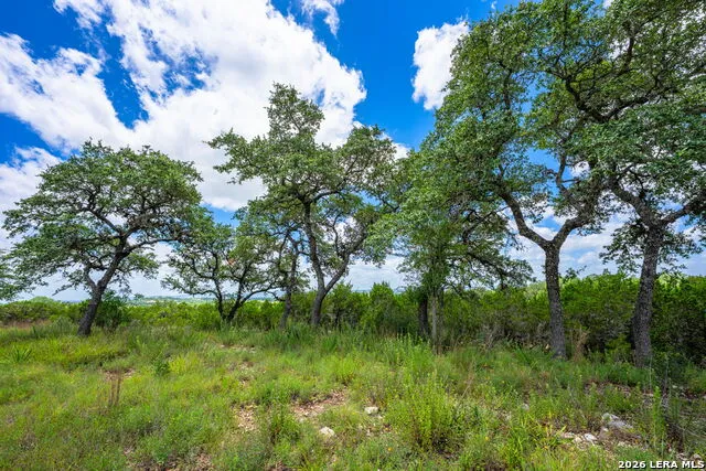 4568 FM 2828 Bandera, TX 78003