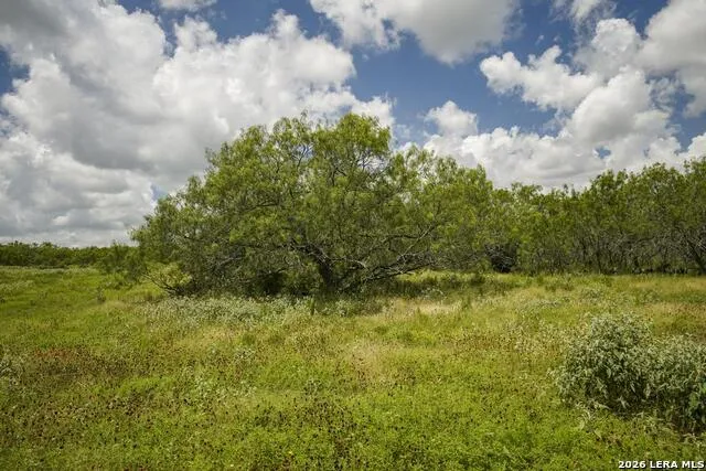 5616 FM 1117 Seguin, TX 78155