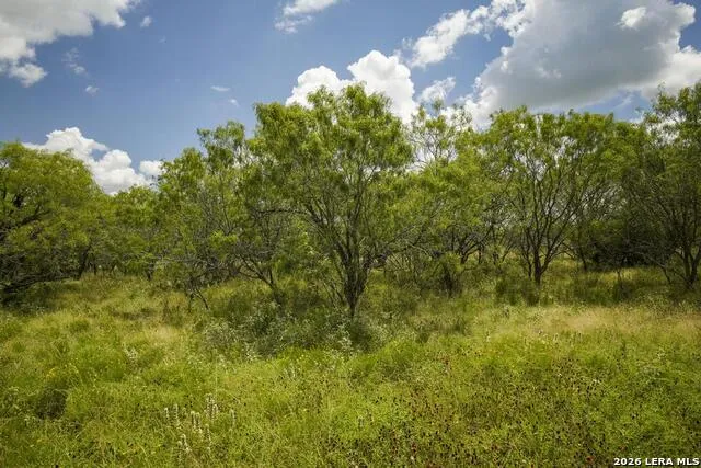 5616 FM 1117 Seguin, TX 78155
