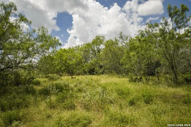 5616 FM 1117 Seguin, TX 78155