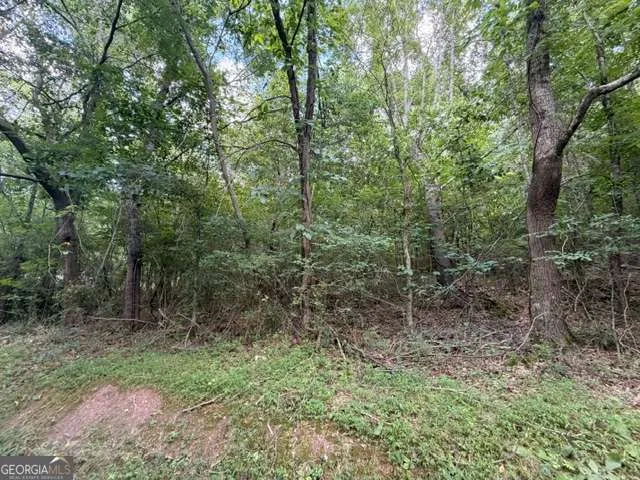 280 Nixon RD Summerville, GA 30747