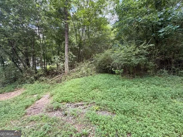 280 Nixon RD Summerville, GA 30747