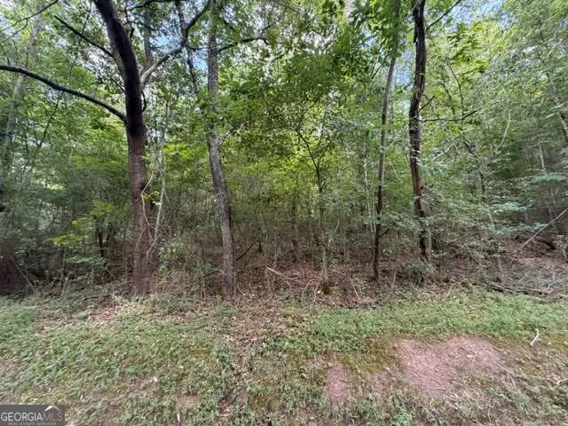 280 Nixon RD Summerville, GA 30747