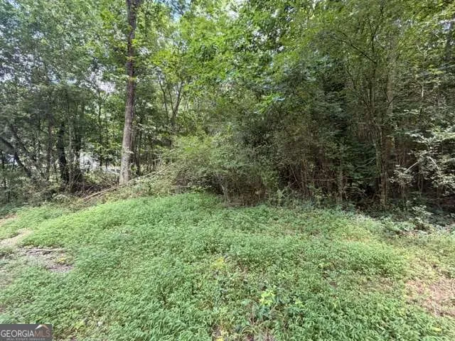 280 Nixon RD Summerville, GA 30747