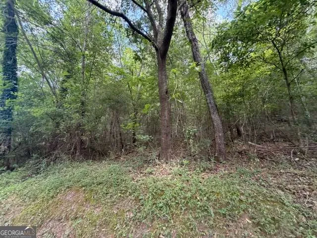 280 Nixon RD Summerville, GA 30747