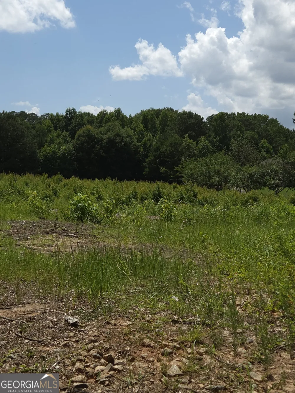 0 Trickum Creek RD Tyrone, GA 30290