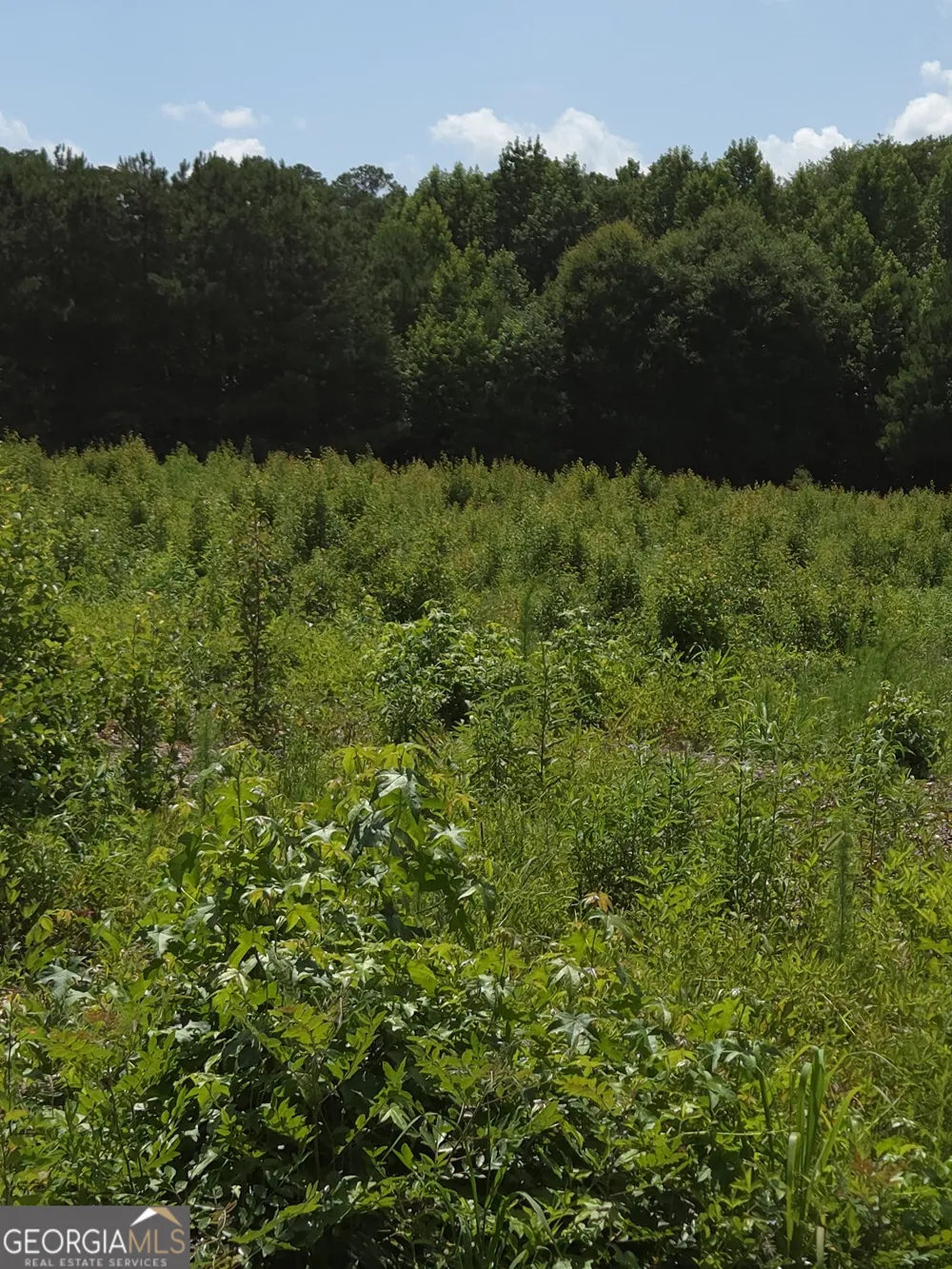 0 Trickum Creek RD Tyrone, GA 30290