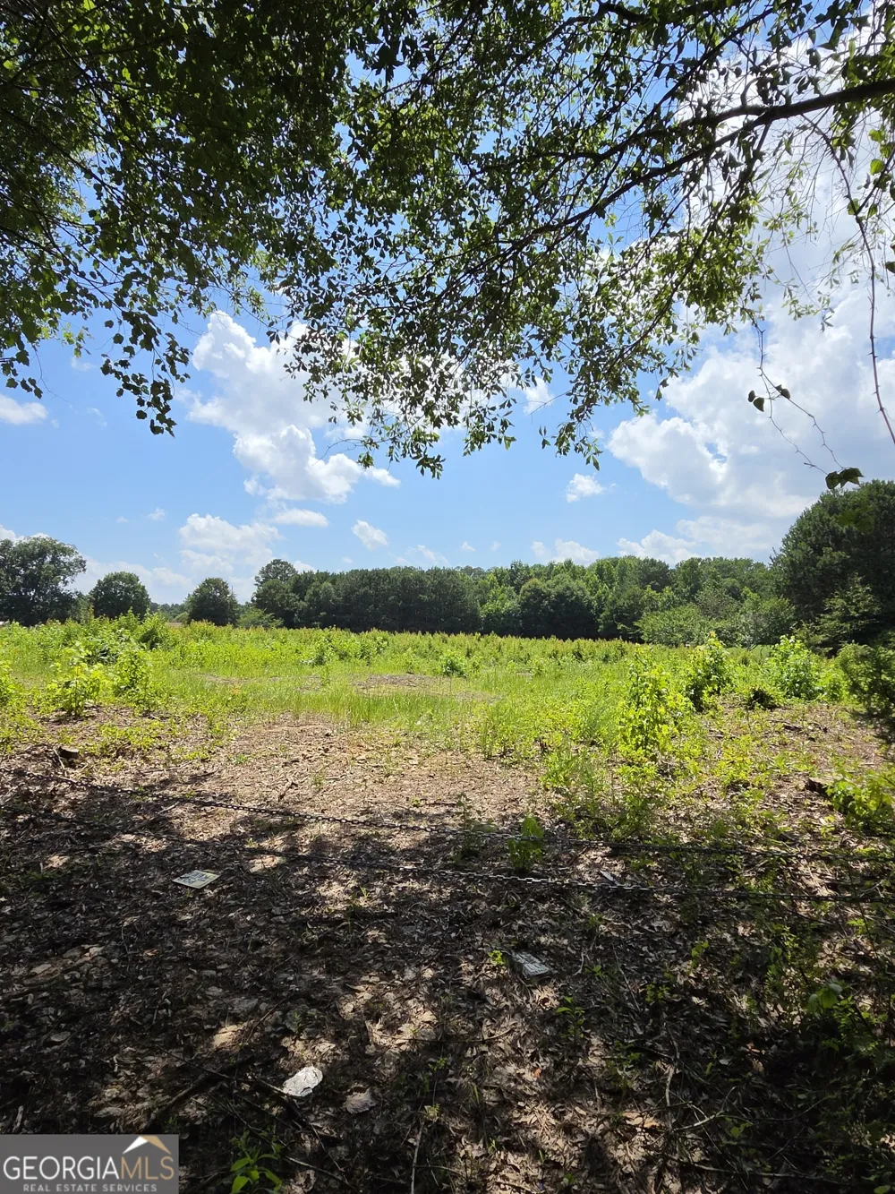 0 Trickum Creek RD Tyrone, GA 30290