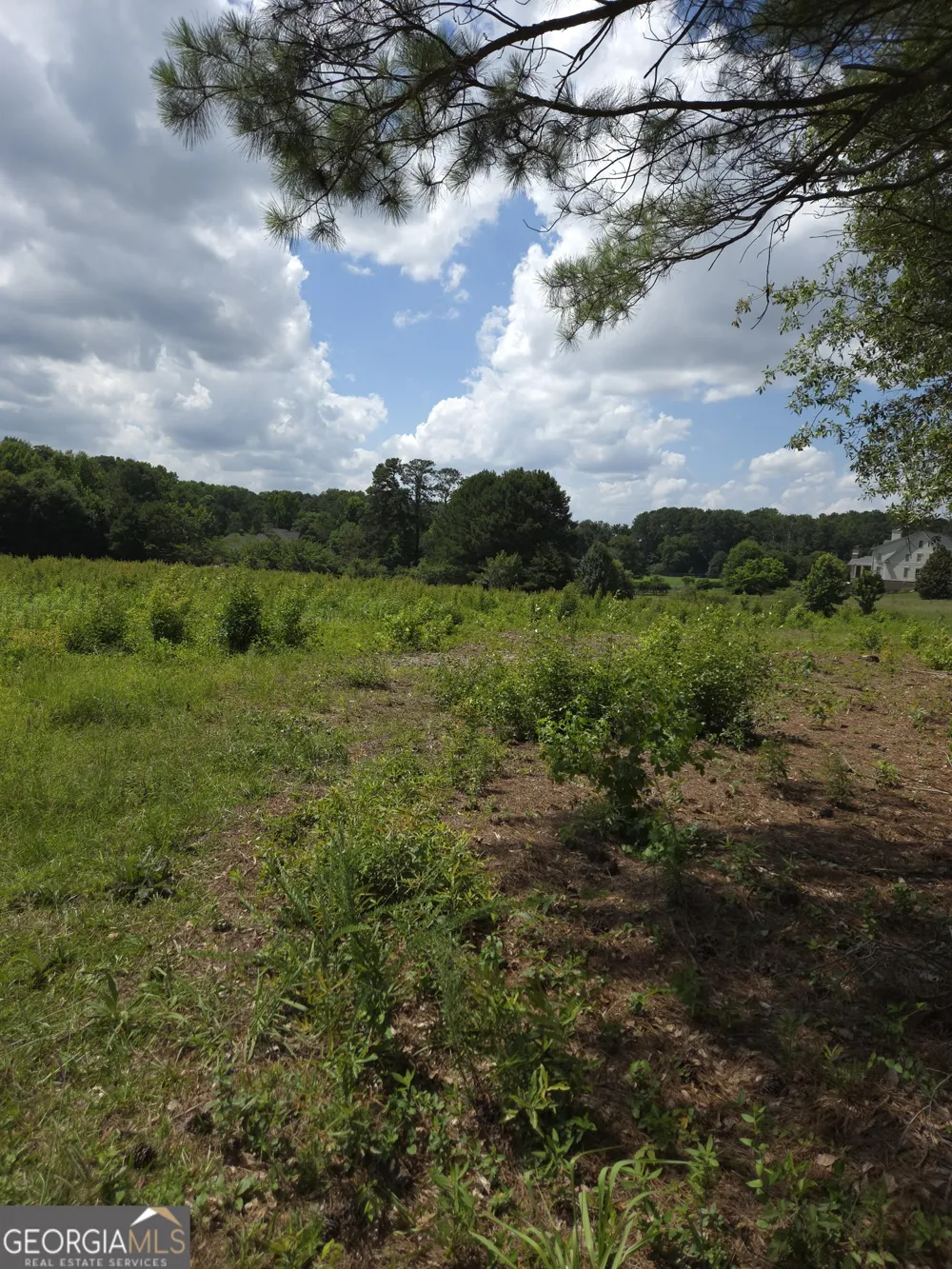 0 Trickum Creek RD Tyrone, GA 30290