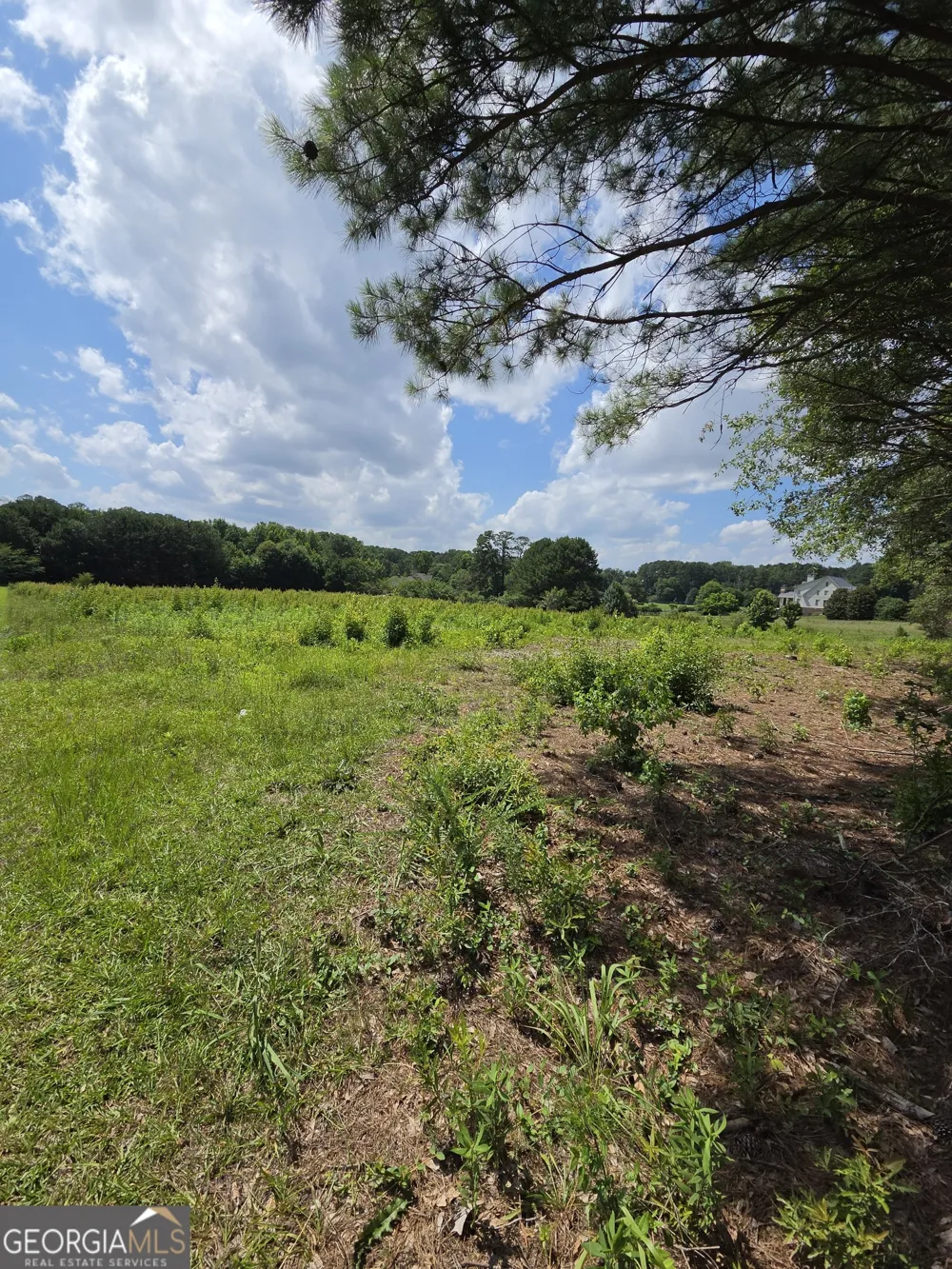 0 Trickum Creek RD Tyrone, GA 30290