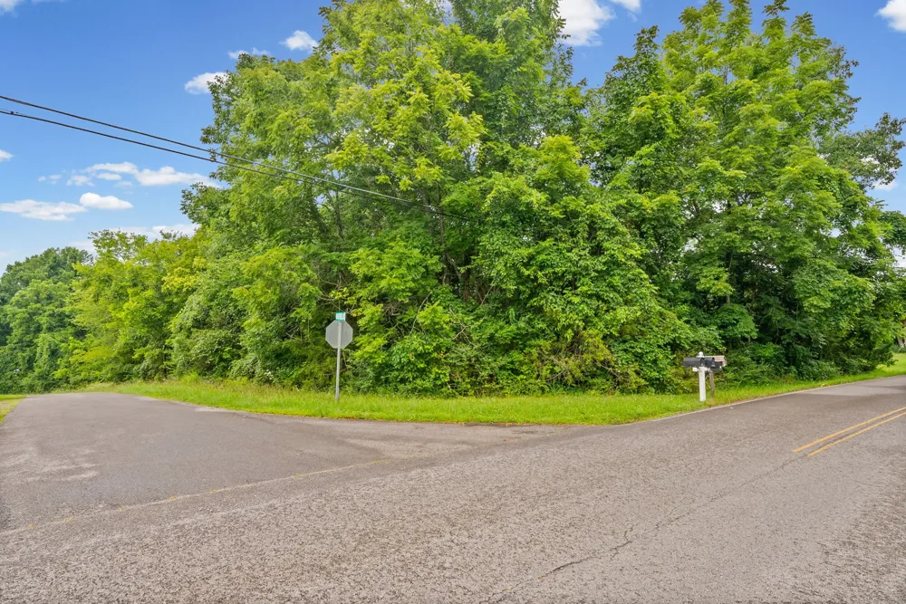 0 Hwy 47 White Bluff, TN 37187