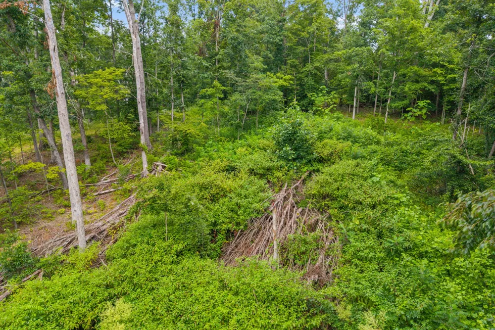 0 Hwy 47 White Bluff, TN 37187
