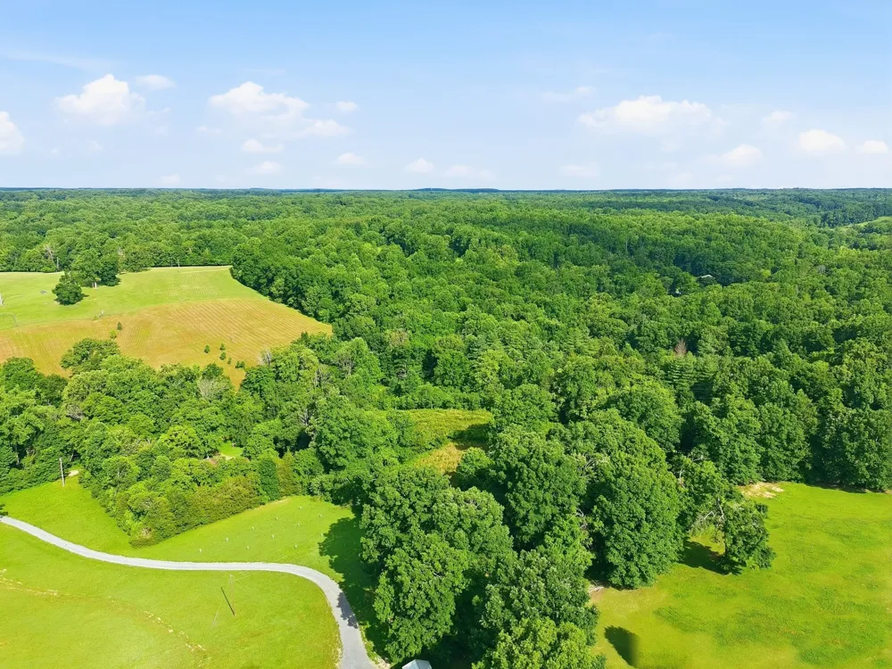 0 Alex Goines Rd Lyles, TN 37098