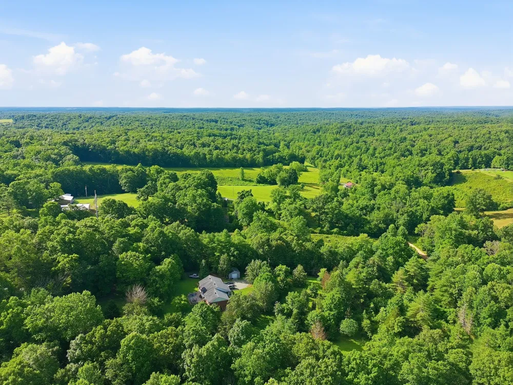 0 Alex Goines Rd Lyles, TN 37098