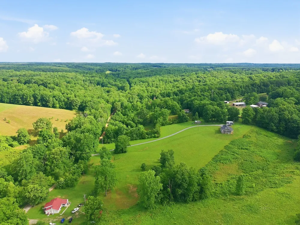 0 Alex Goines Rd Lyles, TN 37098