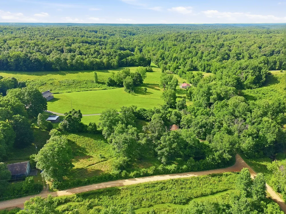 0 Alex Goines Rd Lyles, TN 37098