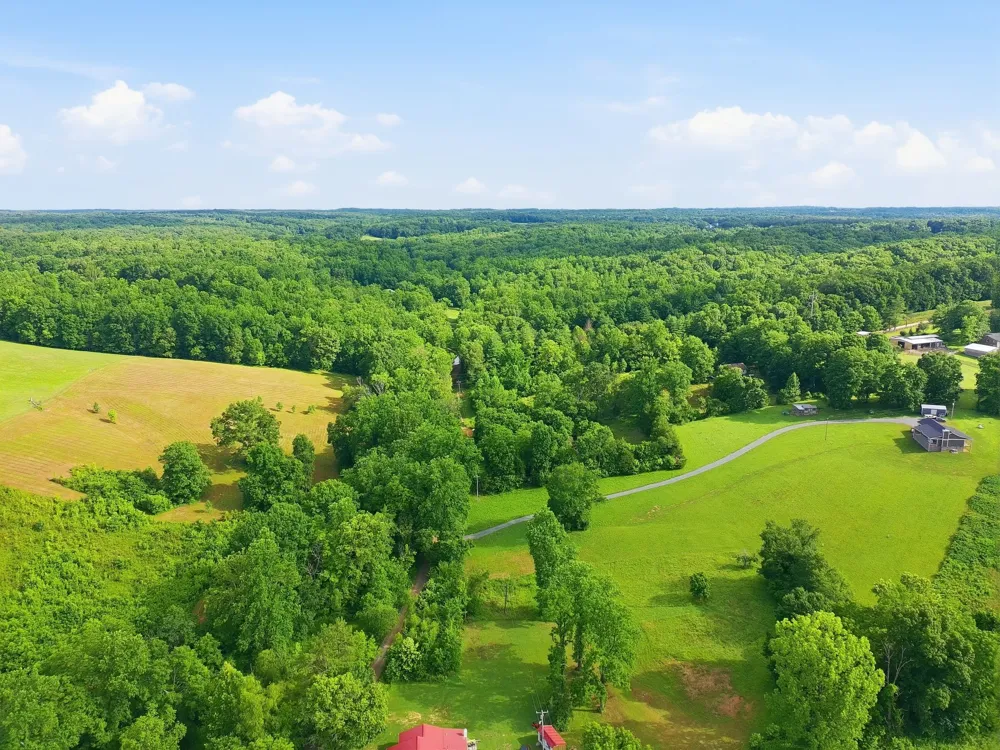 0 Alex Goines Rd Lyles, TN 37098