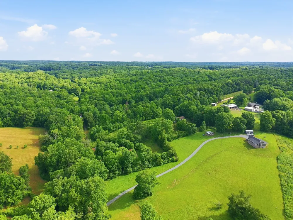 0 Alex Goines Rd Lyles, TN 37098