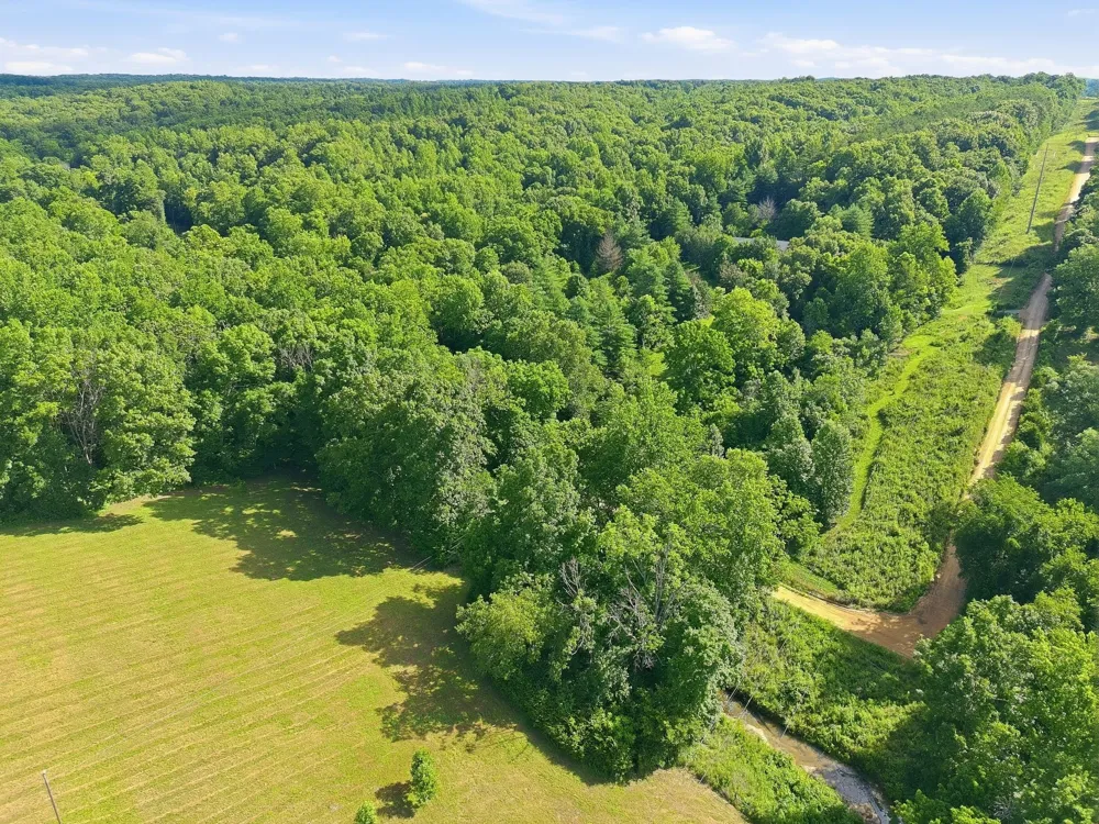 0 Alex Goines Rd Lyles, TN 37098