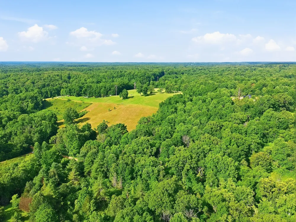 0 Alex Goines Rd Lyles, TN 37098