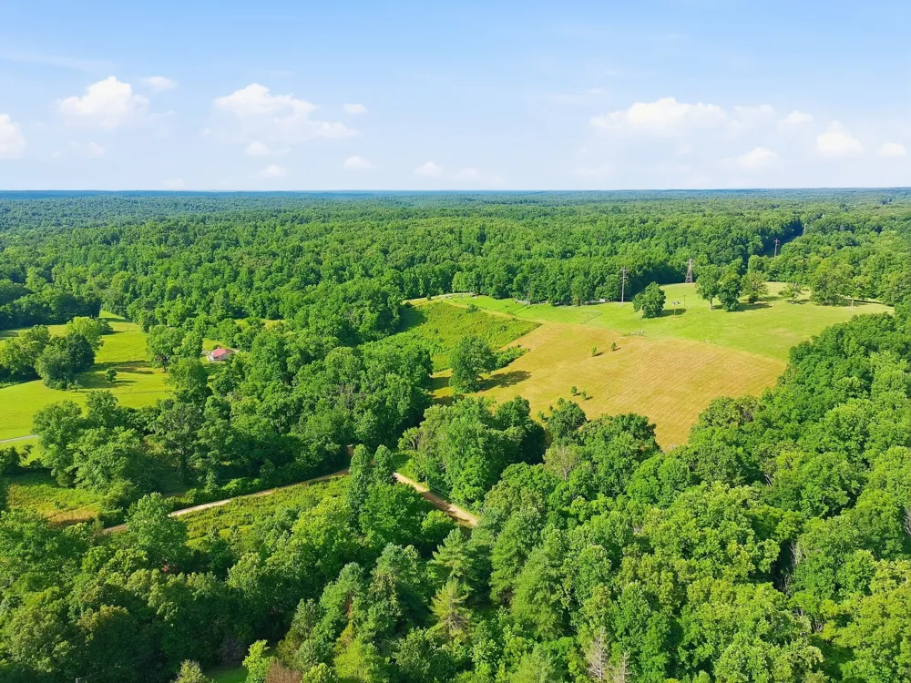 0 Alex Goines Rd Lyles, TN 37098
