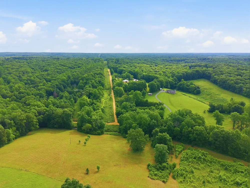 0 Alex Goines Rd Lyles, TN 37098