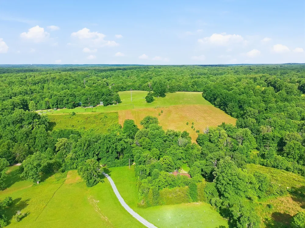 0 Alex Goines Rd Lyles, TN 37098