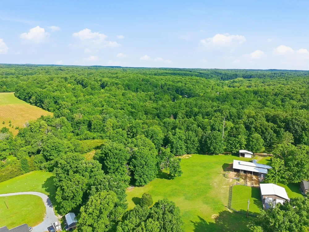 0 Alex Goines Rd Lyles, TN 37098