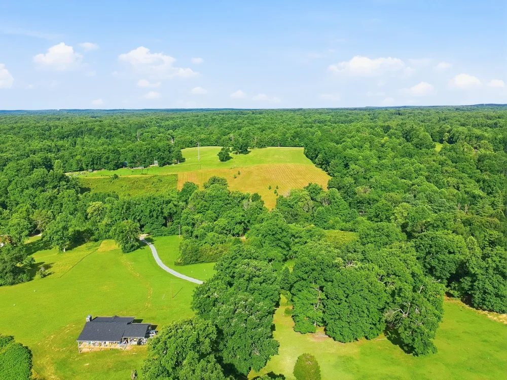 0 Alex Goines Rd Lyles, TN 37098