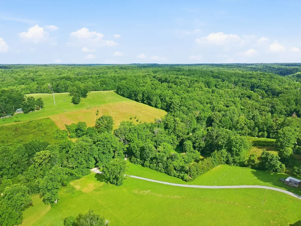 0 Alex Goines Rd Lyles, TN 37098