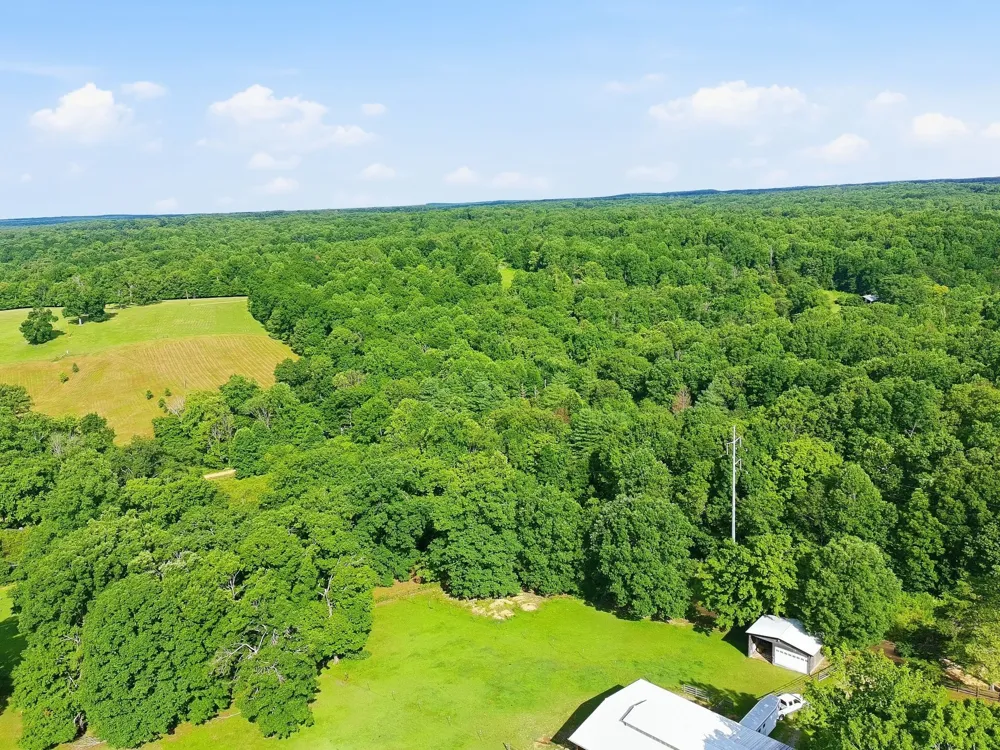 0 Alex Goines Rd Lyles, TN 37098