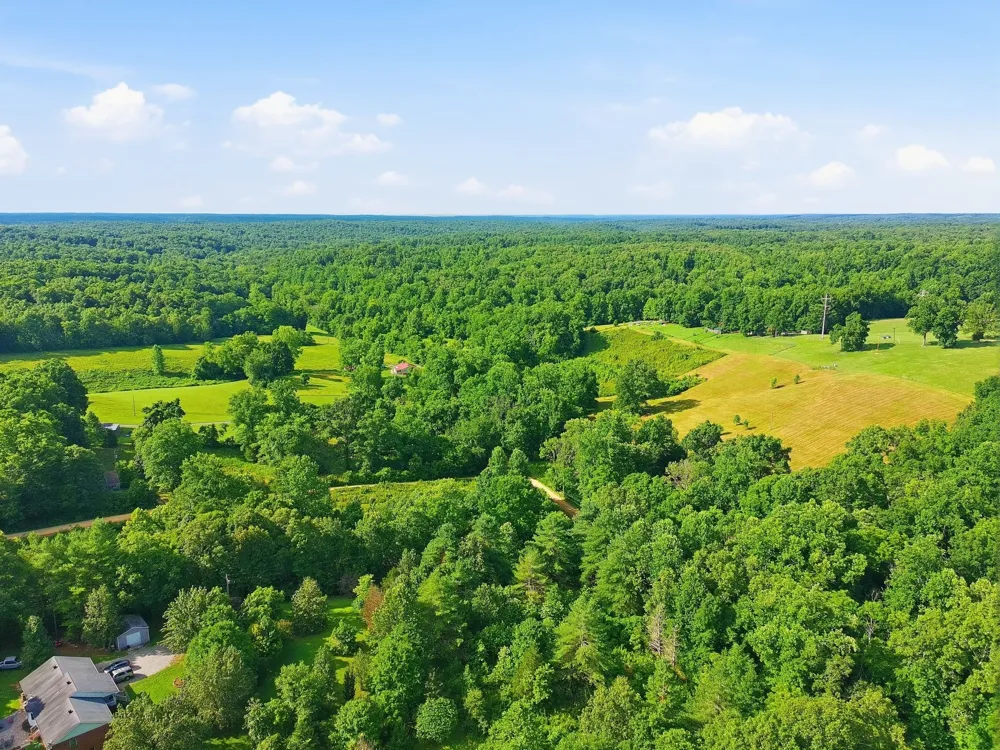 0 Alex Goines Rd Lyles, TN 37098