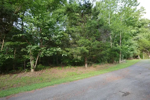 21 Holcomb Cir