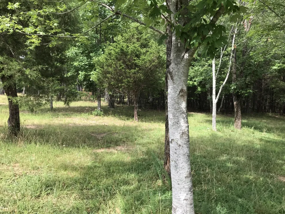 0 Quail Trl Dunlap, TN 37327