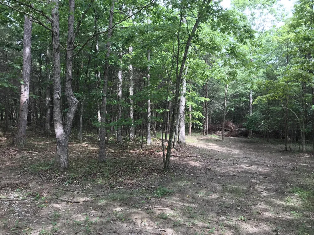 0 Quail Trl Dunlap, TN 37327
